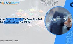 Drive organic traffic to your site and get top rankings on SERPs