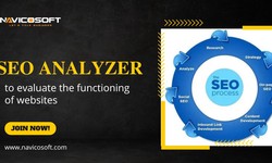Apply an SEO analyzer to evaluate the functioning of websites