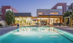 5 Things to Consider Before Building a Pool
