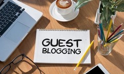 What do you mean by guest post?