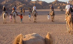 5 Best Must Visit Sights in Sharm El Sheikh