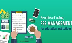 What Are the Benefits of a Fees Management System