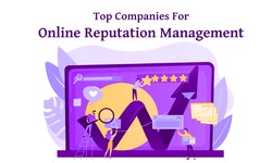 Compare The Top Companies For Online Reputation Management