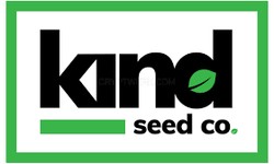 The Ultimate Guide For Growing Cannabis Seeds In Massachusetts