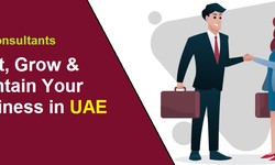 How VAT Consultants help Start, Grow, and Maintain Your Business in UAE