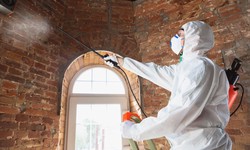 Can you Stay in Home during Mold Remediation Process