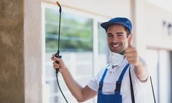 Pest Control Tips for Your Home: How to Keep Your Property Clean and Safe