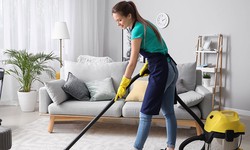 Finding the Best Carpet Cleaning Services in Brooklyn