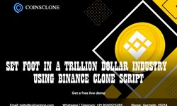 Set foot in a Trillion dollar industry using Binance clone script