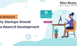 Top Reasons Why Startups Should Use ReactJS Development