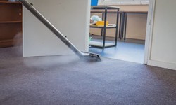 Why Should You Hire Professionals to Clean Your Carpet?