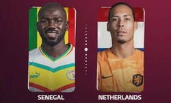 Où regarder Sénégal vs Pays-Bas en direct en ligne gratuit Jeu complet Coupe du monde de football 2022 Qatar gratuit