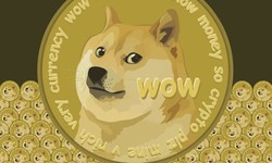 10 Unmissable Crazy Facts About Dogecoin