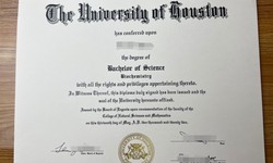 Where to Buy University of Houston fake degree certificates