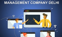 How to find the best online reputation management company in Delhi