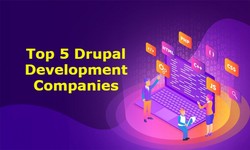 Top 5 Drupal Development Companies
