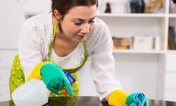 What a Professional Cleaning Service brookline Can Do For You