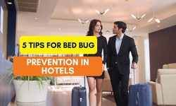 5 Tips for Bed Bug Prevention in Hotels