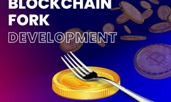 Blockchain Fork Development Company