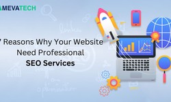 7 Reasons Why Your Website Need Professional SEO Services: Ameva Tech