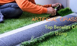 Artificial Grass -Top Benefits Of Using