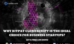 Why bitpay clone script is the ideal choice for business startups?