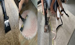 All You Need To Know About Professional Carpet Cleaning Services In Singapore