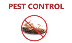 How much is a Cockroach Exterminator Cost