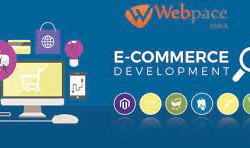 Selected an ecommerce website design company in India