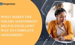 What Makes The Online Assignment Help Is Excellent Way To Complete Assignment