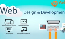 Always Go With Finest Website Design Company in India