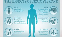 Testosterone Replacement Therapy Proves To Be Beneficial For Men Over 35