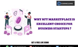why NFT Marketplace is excellent choice for business startups