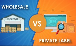 Private Label VS Wholesale on Amazon