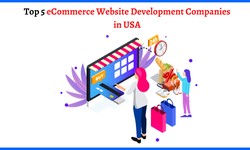 Top 5 eCommerce Website Development Companies in USA