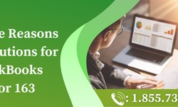 Possible Reasons and Solutions for QuickBooks Error 163
