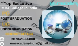 Top Executive MBA College In India