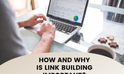 How And Why Is Link Building Important?