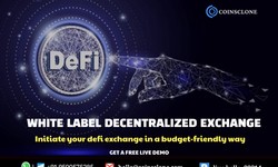 White label decentralized exchange -  Initiate your defi exchange in a budget-friendly way
