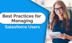 The Best 4 Ways to Manage Salesforce Users!