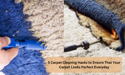 5 Carpet Cleaning Hacks to Ensure That Your Carpet Looks Perfect Everyday