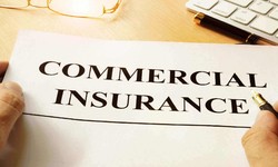 Why You Should Hire Business Insurance Broker
