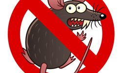 Don't Let Rats ruin your Toronto Home - Call the Experts for Rat Extermination Services