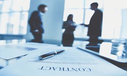 Why Hire Small Business Lawyers in Alberta