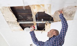 7 Steps to Take After You've Discovered Mold in Your Home