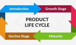 An Efficient Guide on the Stages of Product Lifecycle