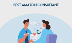 How to Find Consulting Companies in USA at Amazon