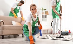Professional Deep Cleaning Services in Toronto