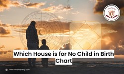 Which House is for no Child in Birth Chart