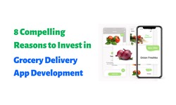 8 Compelling Reasons to Invest in Grocery Delivery App Development